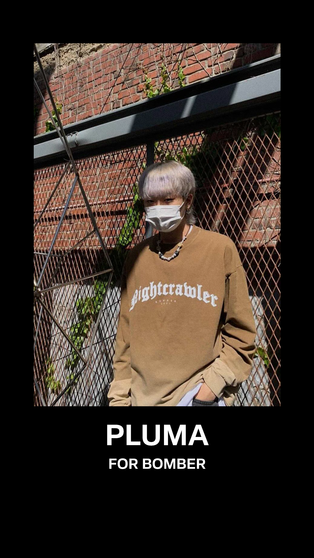 PLUMA.png